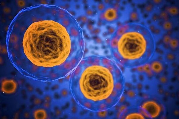 Comment se déroule le processus de perte de poids 